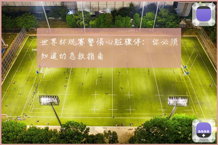 世界杯观赛警惕心脏骤停:你必须知道的急救指南