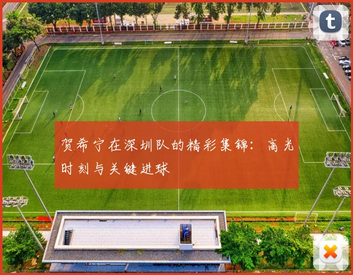 贺希宁在深圳队的精彩集锦：高光时刻与关键进球
